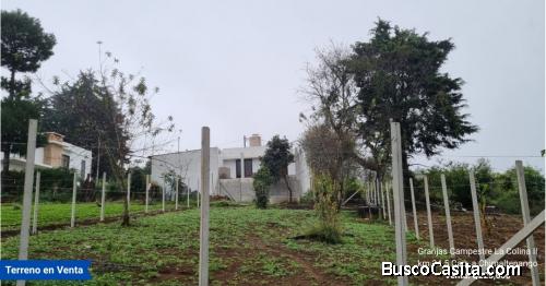 Terreno en Venta en Granjas Campestre La Colina II