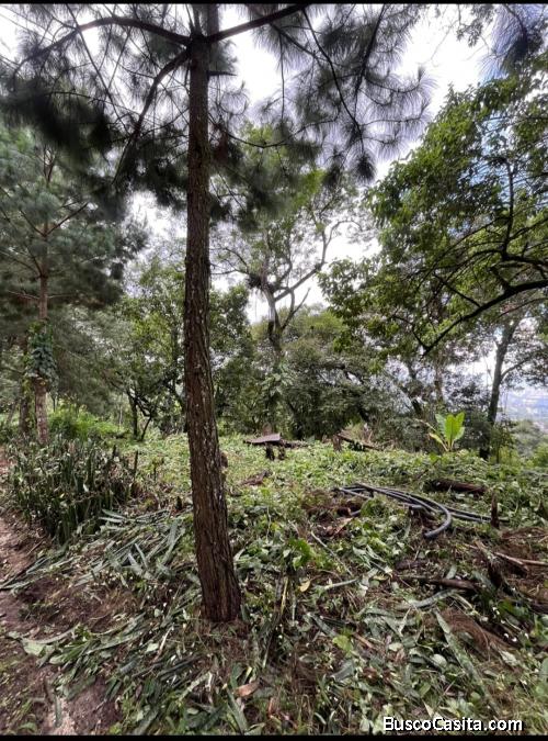 TERRENO EN VENTA SANTA ROSALÍA DESDE 1000 vr2, $175 VARA