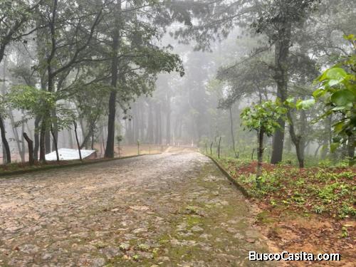 VENDO  TERRENO GRANDE EN CHOACORRAL