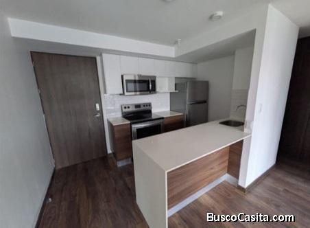 RENTA APARTAMENTO ZONA 11  MARISCAL