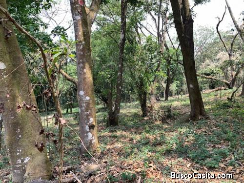 Terreno en Venta de 7 manzanas km 26.5 a Santa Elena Barillas