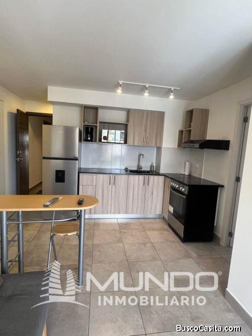 APARTAMENTO AMUEBLADO EN RENTA ZONA 10
