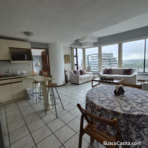 Apartamento Amueblado en Renta de 1 habitación en Vista Hermosa 2 Zona 15