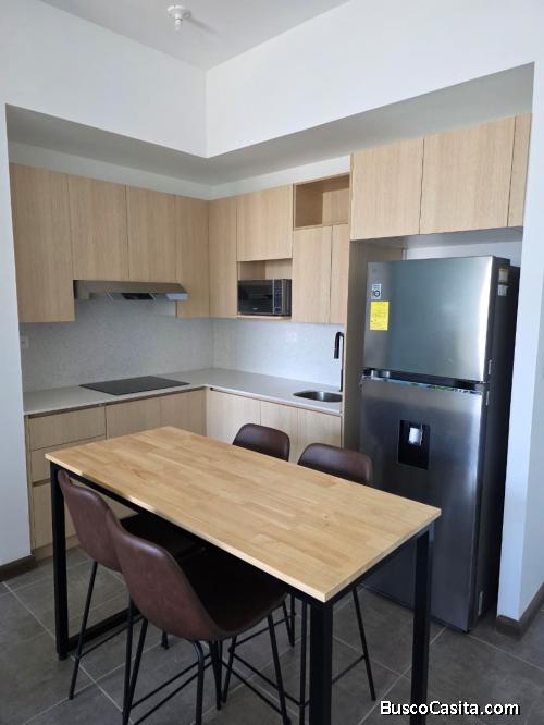 Apartamento Amueblado en Renta en Zona 15 Vista Hermosa 1