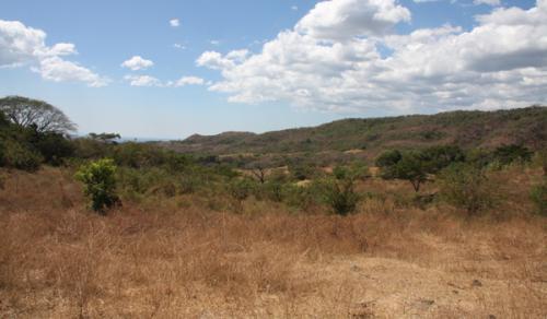 Venta de terreno en La Libertad, a 2 km de la intersección de Santa Cruz, carretera del litoral km 41 CA-2  – Apto para ganadería y piscicultura, 10mz