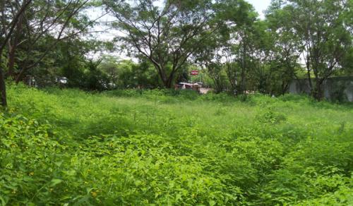 Venta de terreno industrial en Chalatenango, Cantón Aguaje Escondido, desvió de Amayo – Propio para construcción de nave industrial, 3,348m² | $65,000