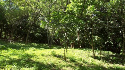 Venta de terreno en San Salvador, Col. Escalón, con vista panorámica a San Salvador 2,821.6v² | $107,198.00