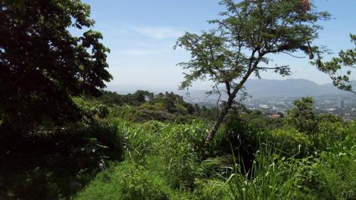 Venta de 3 lotes urbanizados en San Salvador Col. Escalón,  Lote #1: 2,148.51v², Lote #2: 1,992.80v²,  Lote #3: 3,089.67 v² | $150/v2