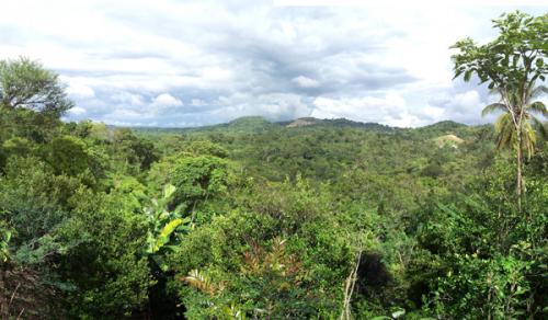 Venta de finca en plena producción de cítricos, con 3000 arboles de naranja mandarina y plátanos en Cojutepeque, Jurisdicción del Carmen – 154,548.46 