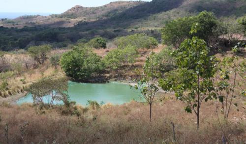 VENTA DE TERRENO AGRICOLA, 10mzs - $90,000.00 