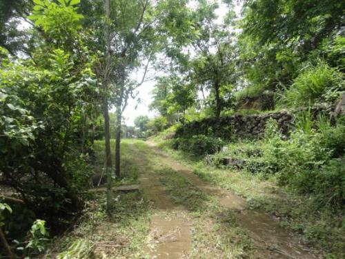 VENTA DE TERRENO EN LA LIBERTAD, 4.5 MZS.- $500,000.00