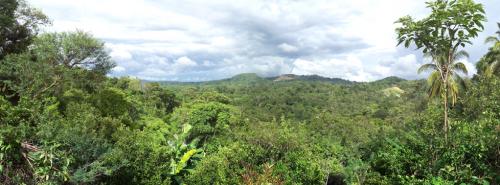 VENTA DE FINCA, COJUTEPEQUE, AREA 15.5 MZS. $420,000.00