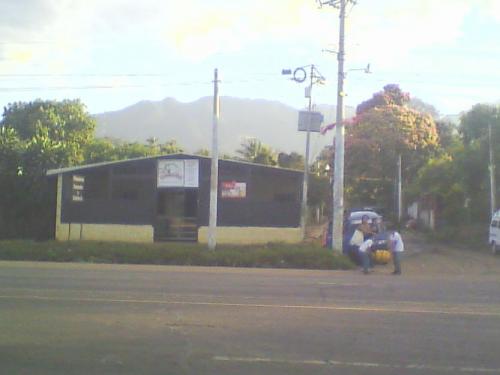 vendo finca de cafe,de estricta altura