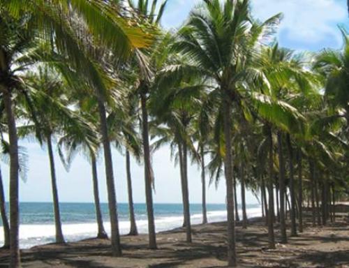 TERRENO DE PLAYA, BARRA SALADA, SONSONATE