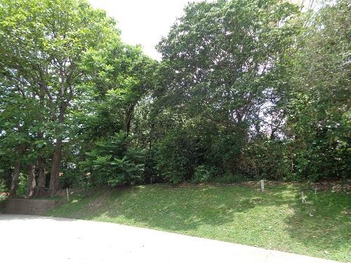 SE VENDE TERRENO DE 2210 VARAS EN RESIDENCIAL TUSCANIA - Topografia Semi Plana