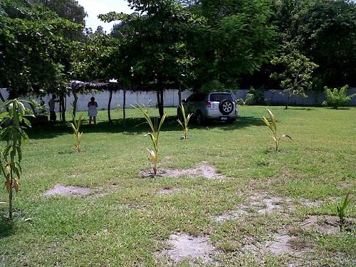 SE VENDE TERRENO DE 2000 VARAS EN CANGREJERA