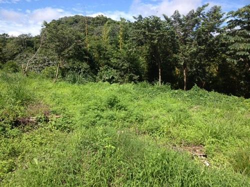 SE VENDE TERRENO DE 3000 VARAS EN QUINTAS DE SANTA ELENA