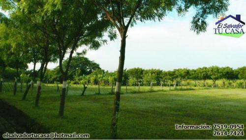 VIVA EN UN AMBIENTE TRANQUILO Y RODEADO DE NATURALEZA. PARCELAS EN VENTA PARA CASA DE CAMPO.... SAN MIGUEL