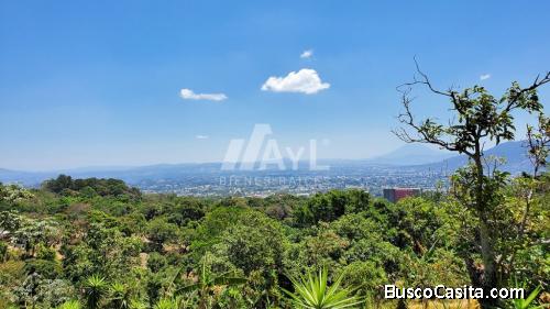 Terreno en Venta en Colonia Escalón– (CE2166P)