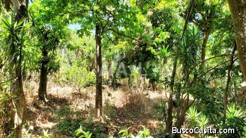 Terreno en Venta en Colonia Escalón– (CE2167P)