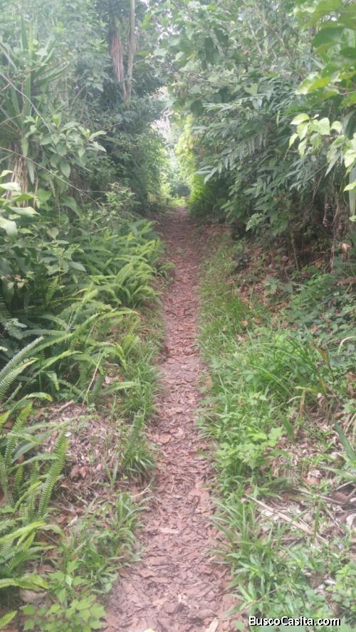 Hermoso Terreno en el Boquerón