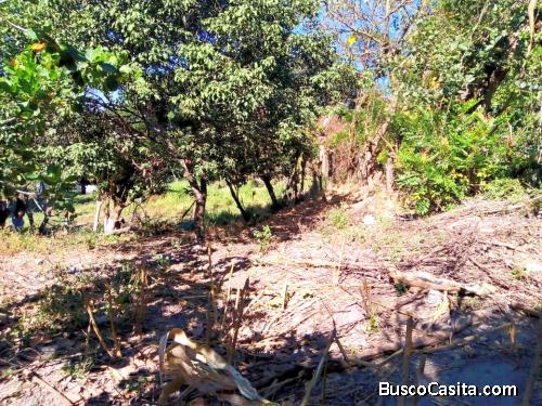 SE VENDE TERRENO A 1KM DE LA CARRETERA TRONCAL DEL NORTE.