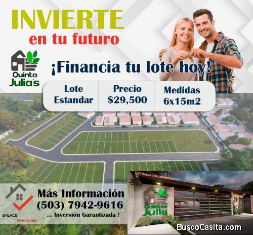 SE VENDEN LOTE EN QUINTA JULIAS