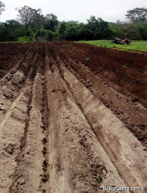 Venta de aproximadamente 40 manzanas en municipio de San Juan Opico la libertad 