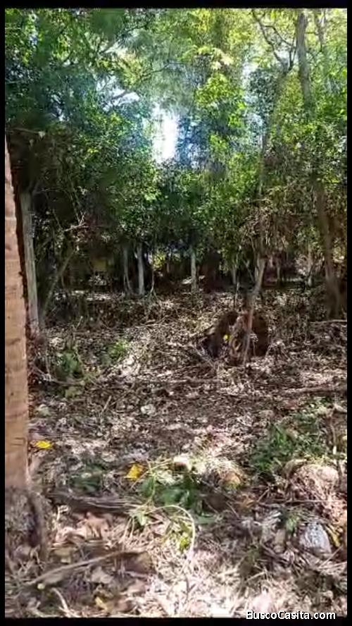 Terreno En Venta En San Luis Talpa
