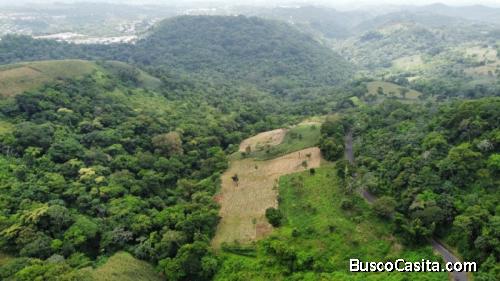 Terreno En Venta Contiguo A Residencial Los Manantiales; Idi: 129714