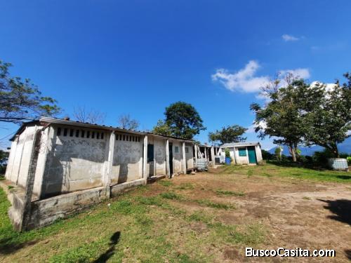 Finca De Café En Venta En Lourdes 200 Manzanas ; Idi: 113496