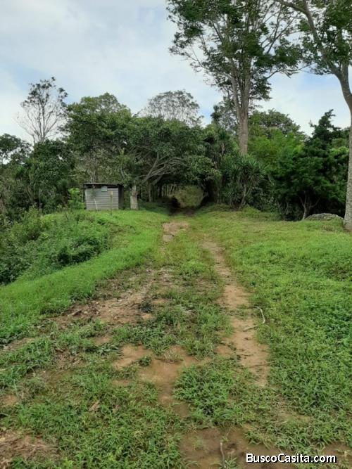 Finca En Venta De 86 Manzanas En Tepecoyo ; Idi: 112933