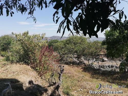 Se Vende Terreno En Guadalupe San Vicente; Idi: 92037