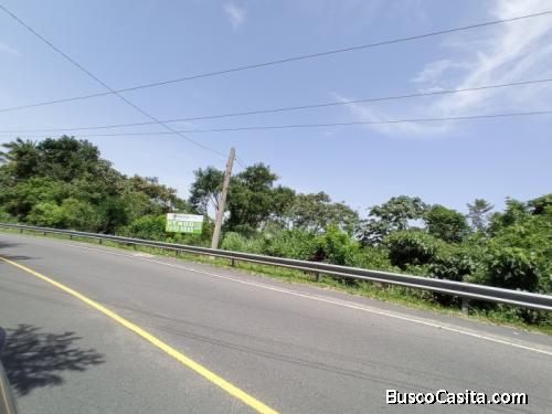 Terreno Comercial Antigua Calle A Zacatecoluca 1.4 Manz; Idi: 75204