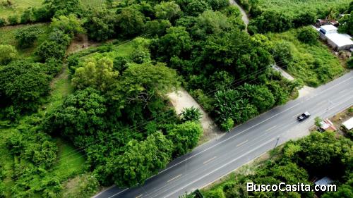 Terreno A Orilla De Calle Carretera A Cangrejera ; Idi: 139715