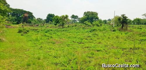Venta de 3 lotes en Santa Ana 