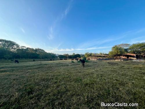 31 Manzanas En Venta En El Porvenir Santa Ana; Idi: 141487