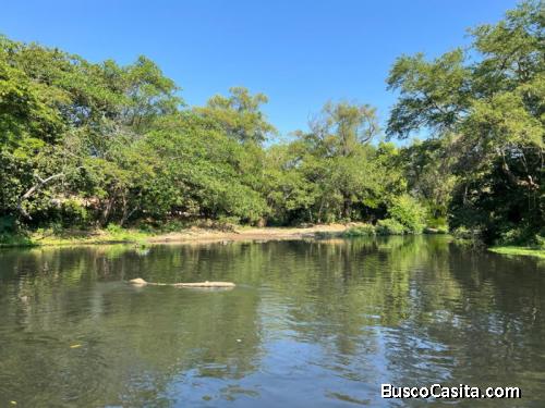 Vendo Finca De 26 Manzanas En Santa Ana Abundante Agua; Idi: 141481