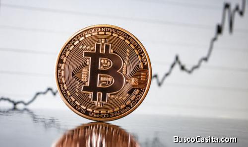 Bitcoin private key finder software AllcryptoSoftware.net