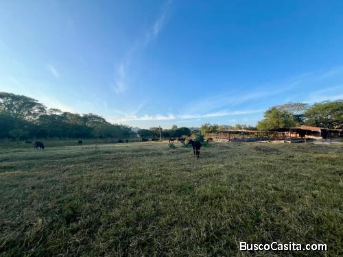 31 Manzanas en venta en El Porvenir Santa Ana