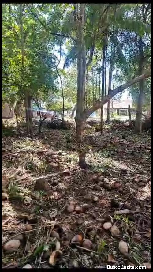 Se Vende Terreno En San Luis Talpa
