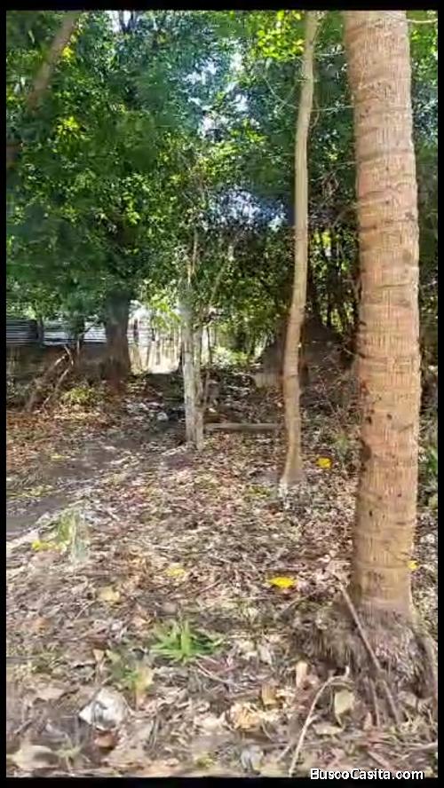 Se Vende Terreno En San Luis Talpa