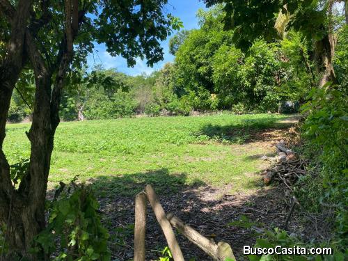 Se Venden Lotes En San Pedro Masahuat