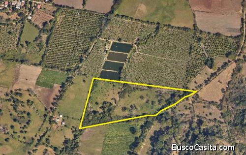 Terreno agrícola en Nueva Concepción  Agricultural land in Nueva Concepción