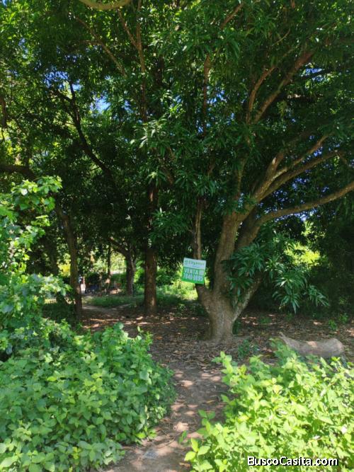 GANGA de terreno en Crangrejera La Libertad
