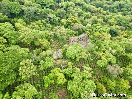 Finca de 9 manzanas a 25 minutos de Santa Tecla