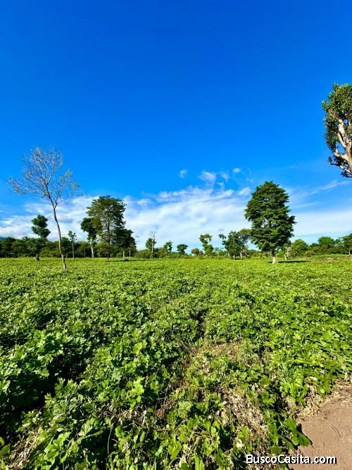 Proyecto de lotes residenciales en Santa Ana carretera hacia los naranjos