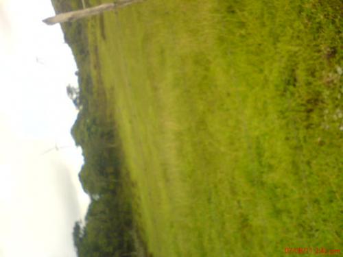 TERRENO EN CERRO DE HULA SANTA ANA F.M.