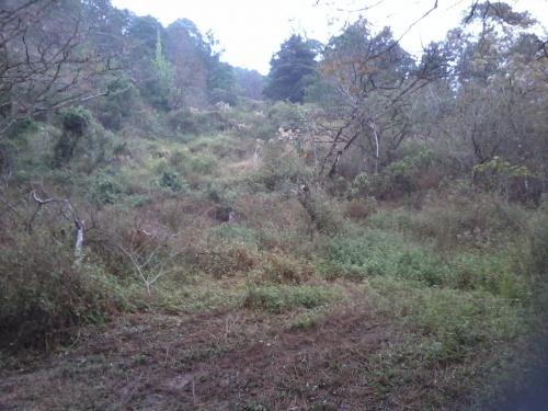 Se vende terreno con preciosa vista en Los Limones a 15 minutos del Hatillo