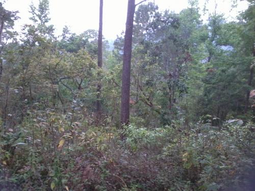 Se vende terreno en Los Limones a 15 mins del Hatillo